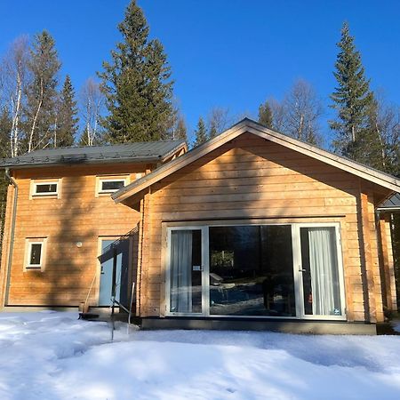 Mountain Holiday Homes - Ottsjoe, Trillevallen -Sweden Åre Buitenkant foto