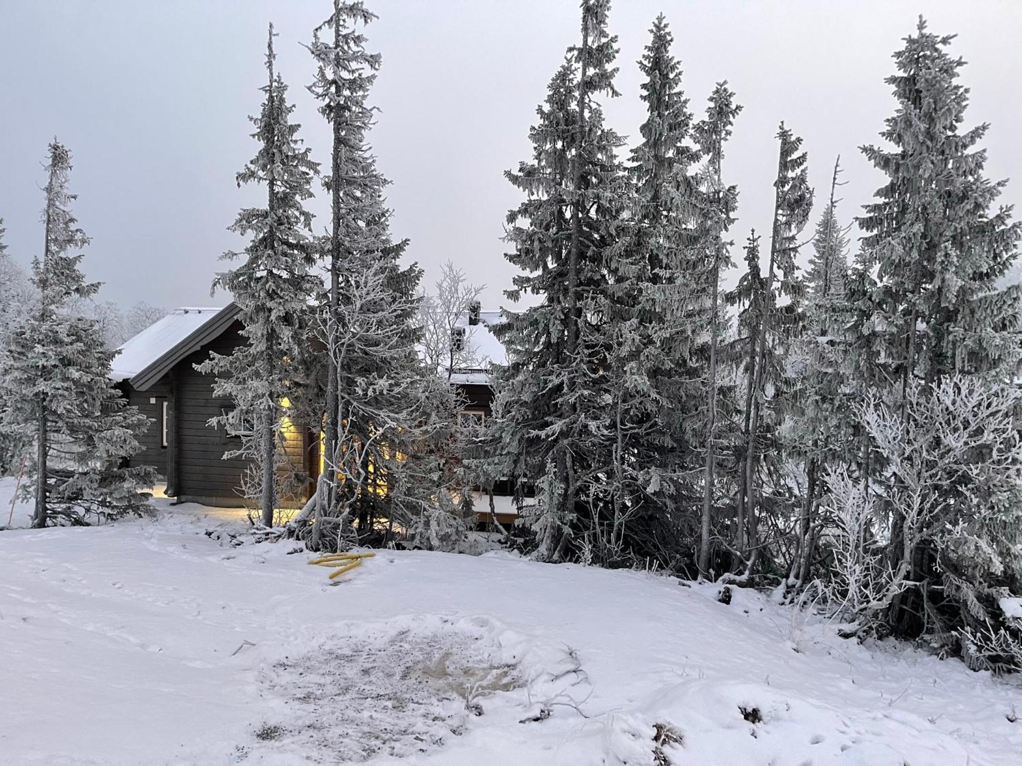 Mountain Holiday Homes - Ottsjoe, Trillevallen -Sweden Åre Kamer foto