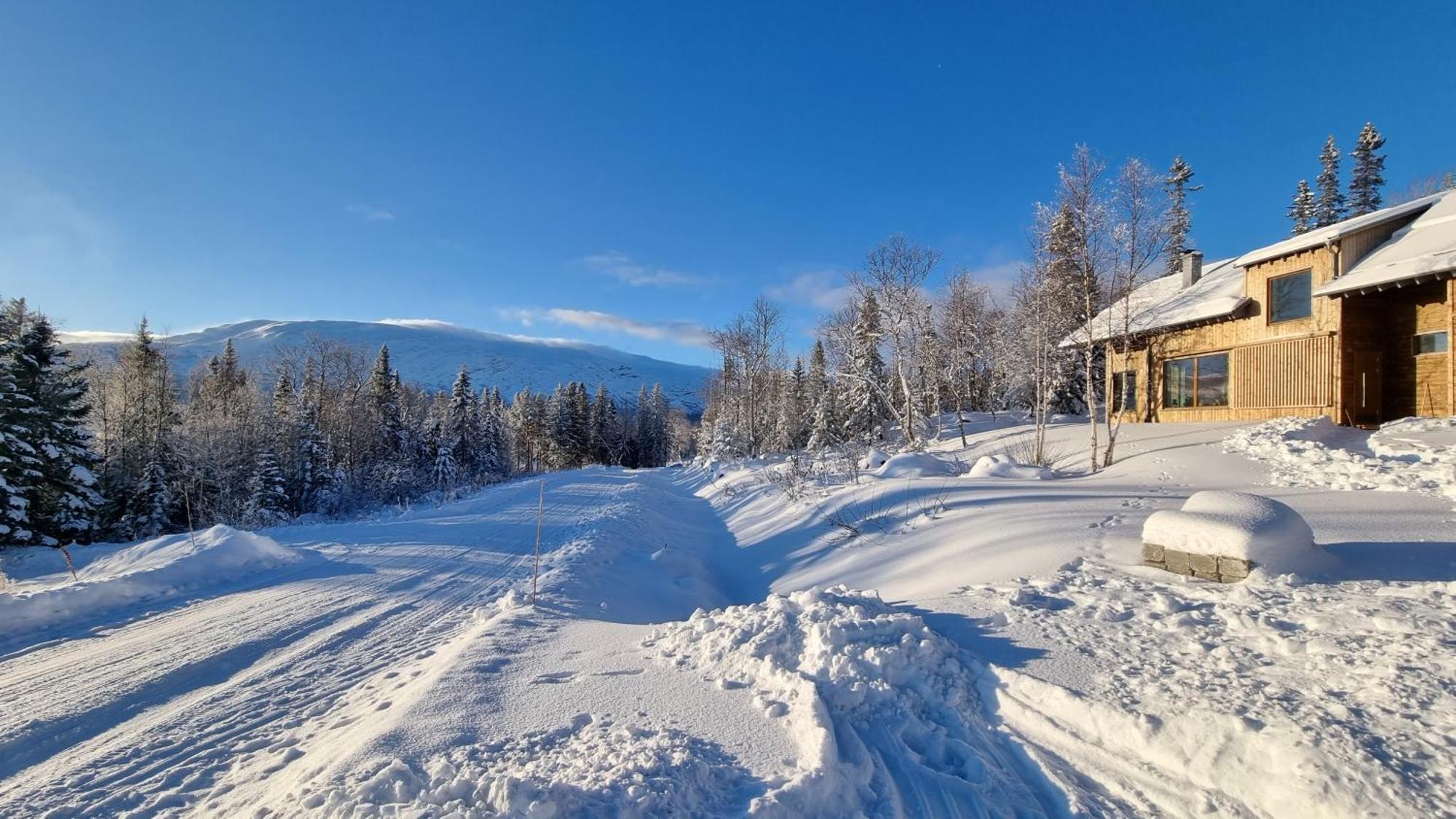 Mountain Holiday Homes - Ottsjoe, Trillevallen -Sweden Åre Kamer foto