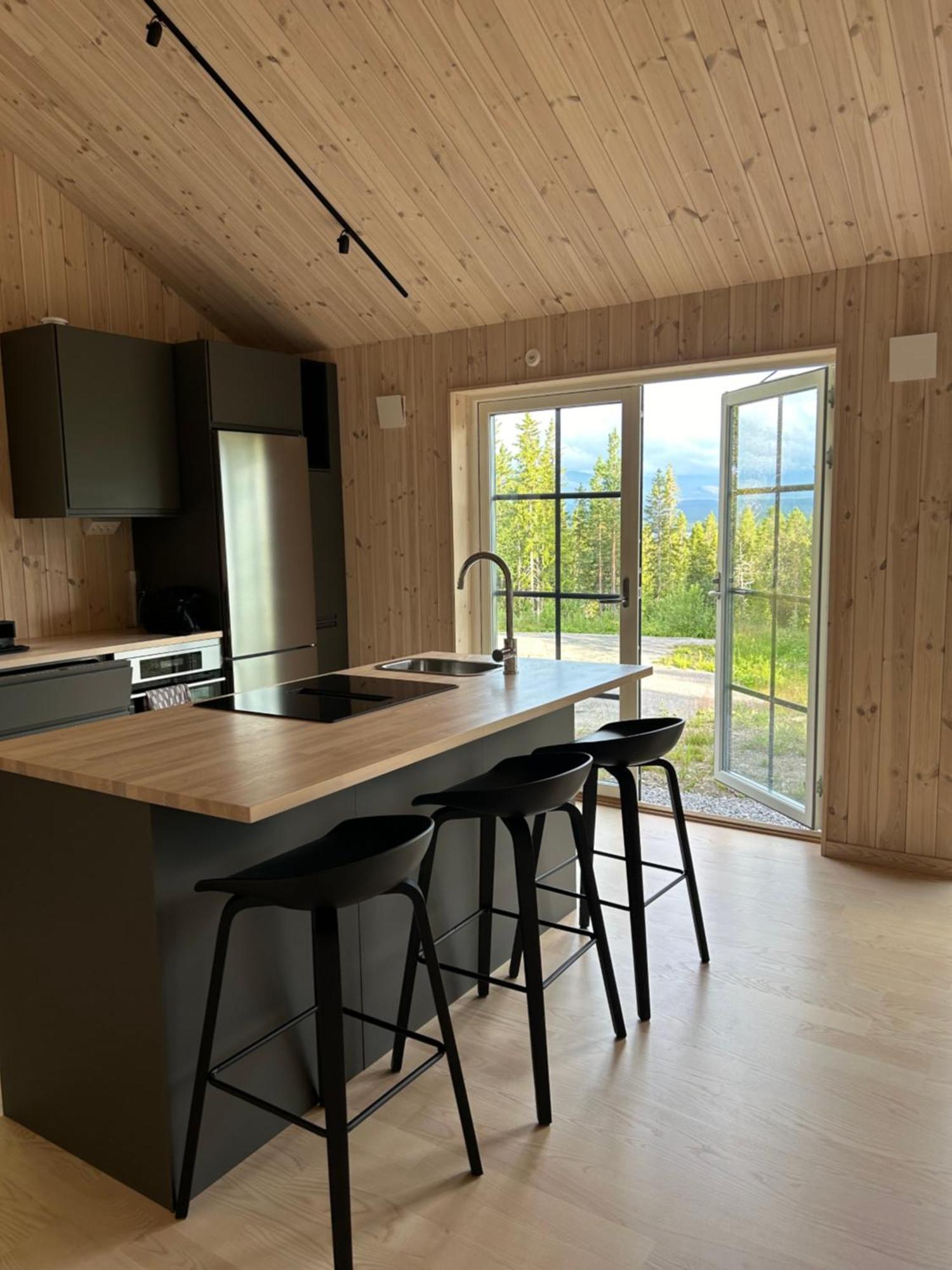 Mountain Holiday Homes - Ottsjoe, Trillevallen -Sweden Åre Buitenkant foto